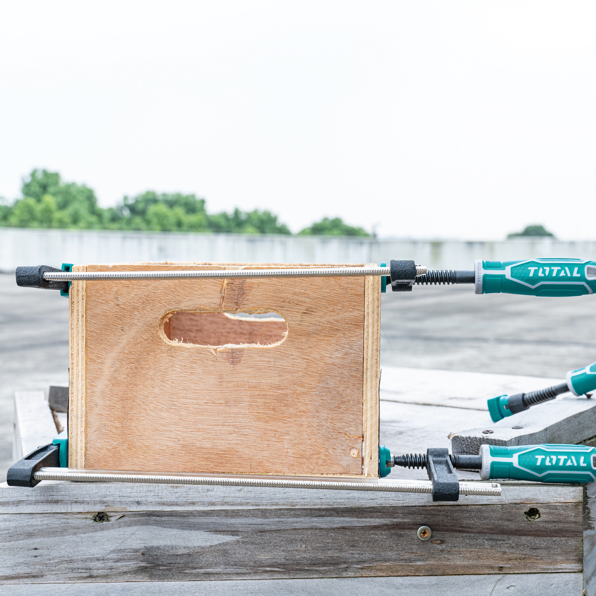 Serre-joint  THT1320801 | 300 x 80 mm